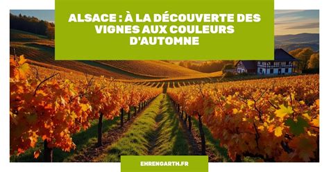 Paysage viticole alsacien avec des vignes aux couleurs changeantes en automne