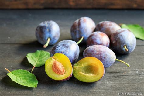 Prunes Quetsches d'Alsace mûres