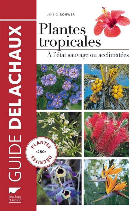 Variété de plantes tropicales