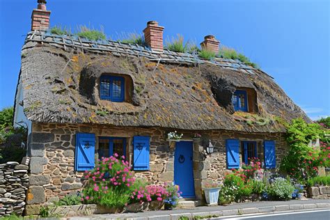 Aquarelle représentant une maison typique de Bretagne avec des hortensias bleus