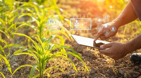 Infographie sur les défis et innovations de l'agriculture moderne
