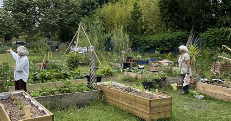 Jardin partagé animé