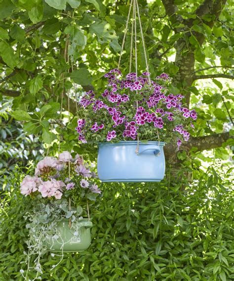 Suspensions de géraniums lierre DIY avec des matériaux recyclés