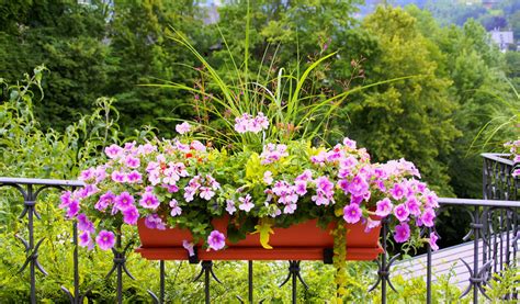 Exemple d'une jardinière suspendue 