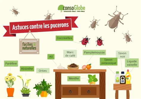 Infographie sur les méthodes biologiques pour lutter contre le puceron et le lycène du géranium