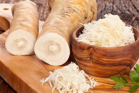 Racine de raifort conservée dans un torchon humide au réfrigérateur