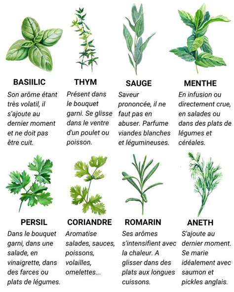 Différentes herbes médicinales