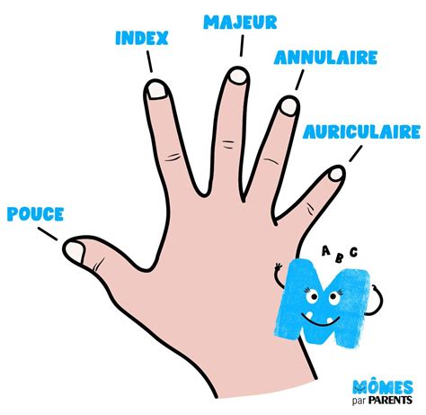 Schéma illustrant le pincement entre le pouce et l'index au-dessus d'un nœud