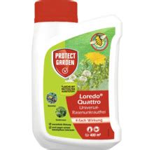 Gazon vert et sans mauvaises herbes avec le produit Loredo Quattro