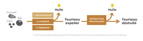 Schéma des débouchés du colza (huile, tourteau, biocarburant, etc.)