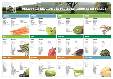 Infographie du calendrier des récoltes de fruits par mois