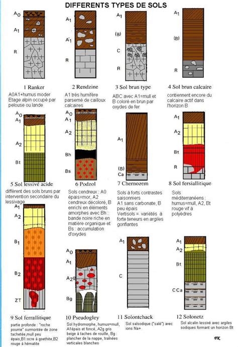Diagramme des types de sols idéaux pour la laitue