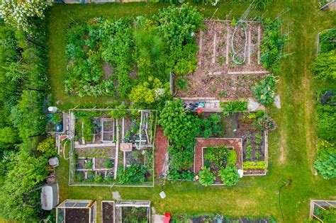Jardin en permaculture
