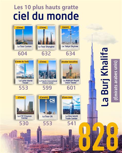 infographie des 3 arbres les plus hauts du monde avec leurs mesures