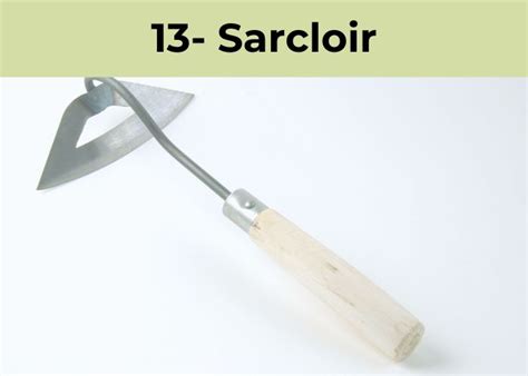 Exemple d'un sarcloir en action