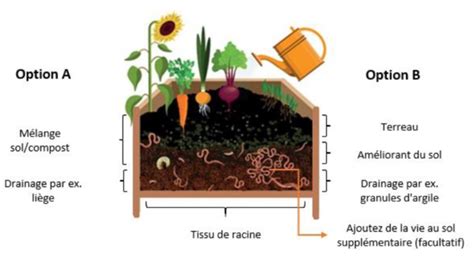 Comparatif visuel entre une culture de sphaigne en bac et en bouteille plastique