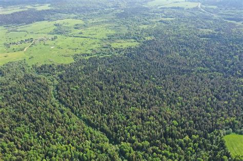 Vue panoramique du paysage verdoyant et typique de la Sologne avec ses habitations traditionnelles