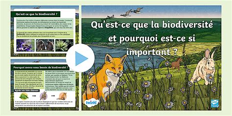 Diagramme de hauteur de coupe pour la biodiversité