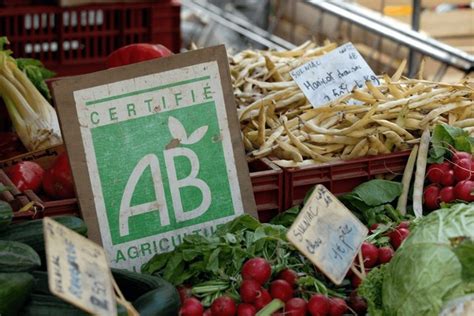 Champ de légumes biologiques avec un panneau indiquant 
