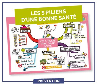 Infographie sur les piliers de la prévention santé