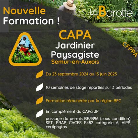 Diagramme des différentes voies de formation pour devenir jardinier ou paysagiste