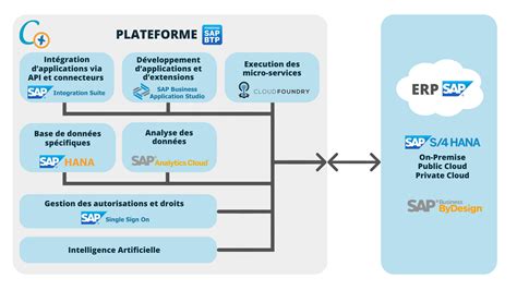 Schéma illustrant la distinction entre activités principales et activités SAP pour un jardinier
