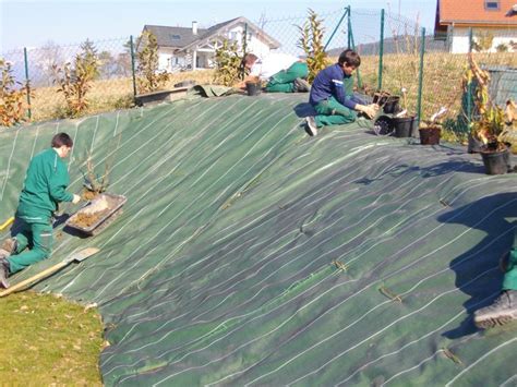 Comparaison entre une toile de paillage synthétique et une toile biodégradable