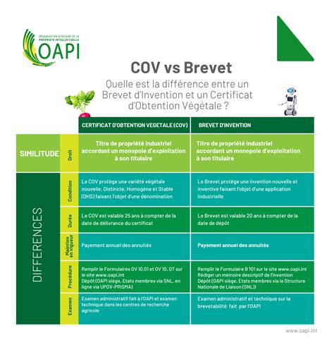 Schéma illustrant la distinction entre le certificat d'obtention végétale (COV) et le brevet sur le vivant