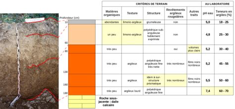 Comparaison entre un sol amendé au lombricompost et un sol non amendé