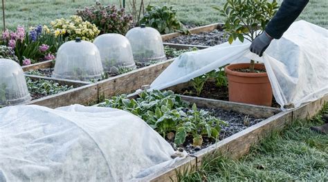 jardinier protégeant ses jeunes pousses du gel