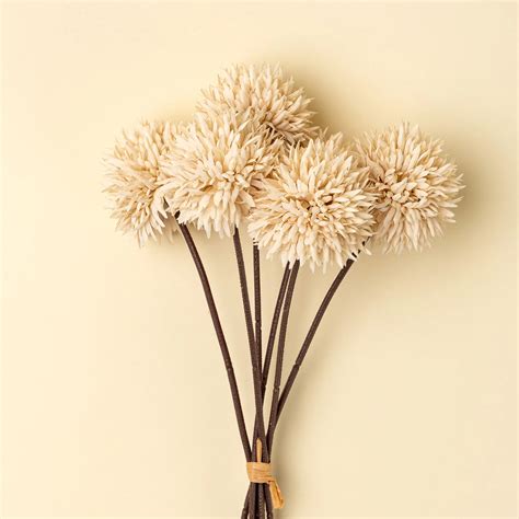 bouquet d'allium