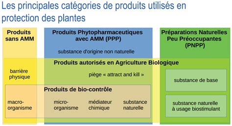 Schéma explicatif des étapes de la réglementation des produits phytopharmaceutiques