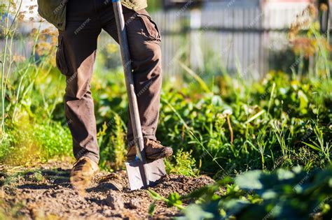 outils de jardinage pour préparer le sol