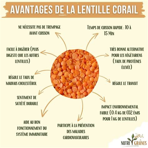 valeurs nutritionnelles de la lentille