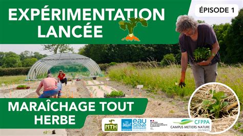 Schéma explicatif des différentes spécialités horticoles : maraîchage, arboriculture et floriculture