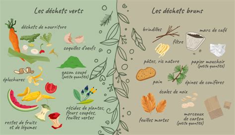 Infographie montrant le ratio idéal entre déchets verts (tonte) et déchets bruns (branchages) pour un compost équilibré