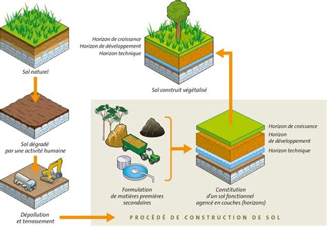 Schéma illustrant la préparation du sol et l'ajout de compost