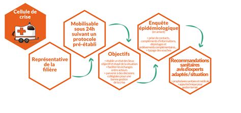 Schéma illustrant le fonctionnement d'une cellule de crise psychologique en milieu scolaire