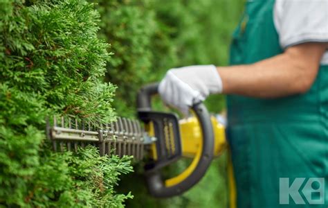 Taille-haie Honda en train de tailler une haie