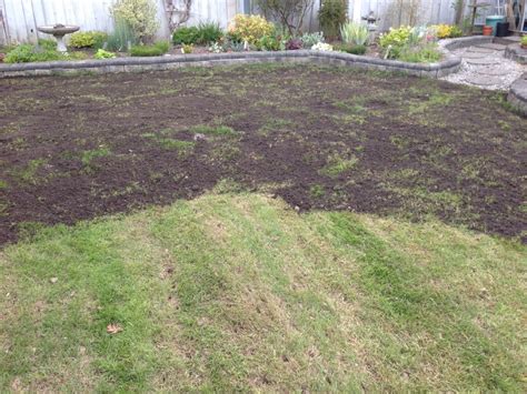Photo d'un jardinier effectuant un terreautage sur une pelouse