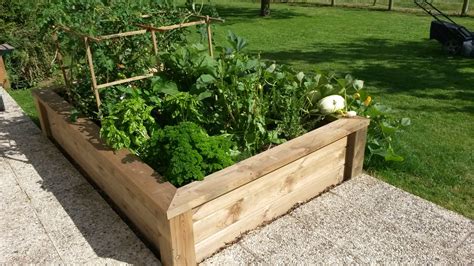Schéma d'un carré potager de 1m x 1m divisé en 16 sections avec des plants de tomates au centre