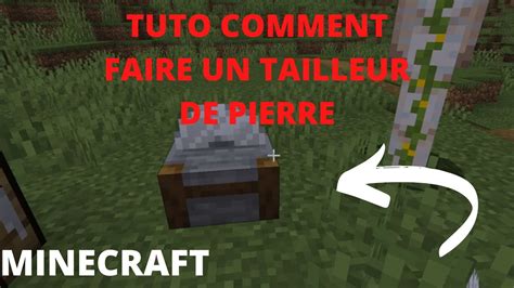 Une araignée grimpant sur un mur de pierre dans Minecraft