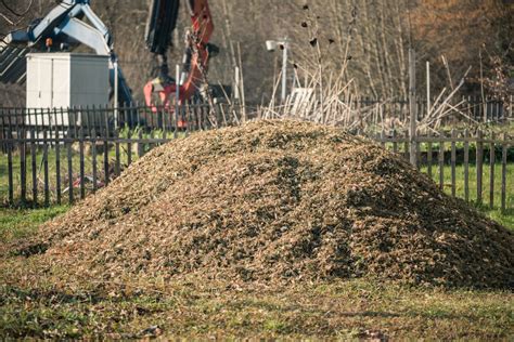 Pile de broyat de sapin prêt à être utilisé au jardin