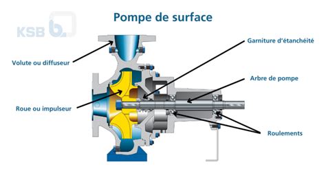 Schéma de la flasque d'une pompe Waterway avec les emplacements de purge