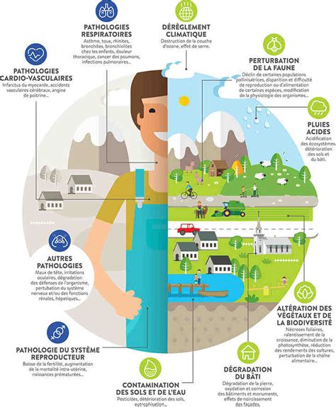 Infographie sur les causes et conséquences des fuites d'eau