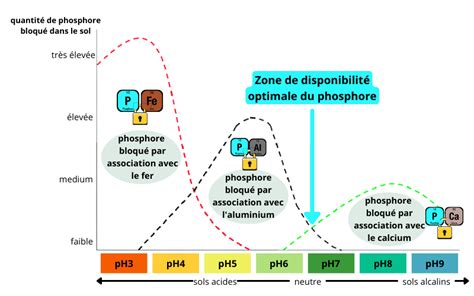 Schéma de la disponibilité du phosphore dans le sol en fonction du pH