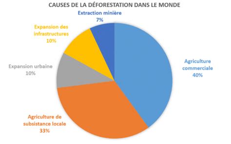 Graphique de l'évolution de la déforestation liée aux zones de culture de coca