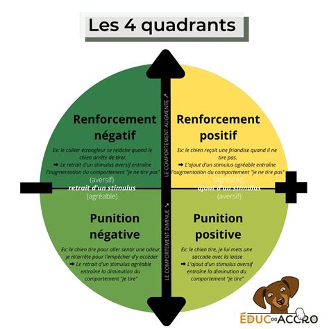 Schéma illustrant le fonctionnement du conditionnement opérant chez les poissons tropicaux
