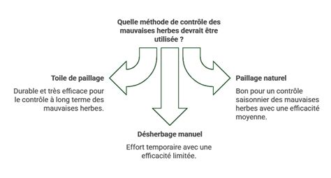 Infographie comparant les méthodes de désherbage : manuel, thermique et vinaigre
