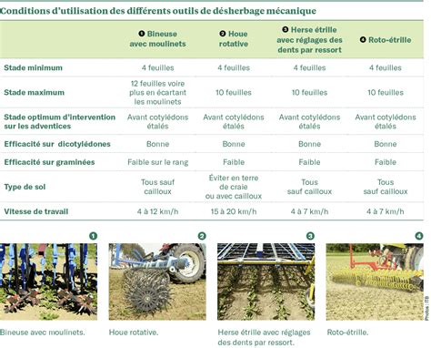 Schéma comparatif entre désherbage mécanique, chimique et électrique